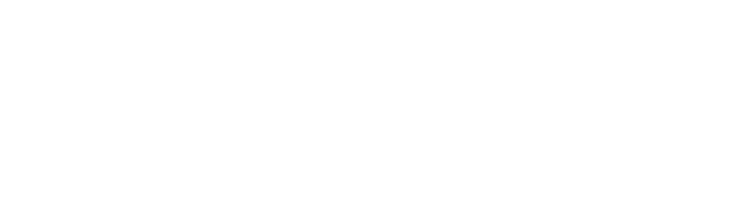Elfbar Logo for Header